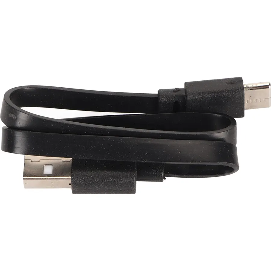 Mini Battery Charger USB C for Rechargeable (Shipped Without